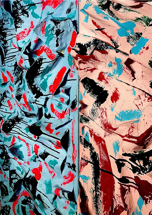 Organized ChAoS von ZAM JOHNSON